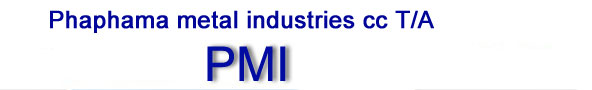 PMI Logo